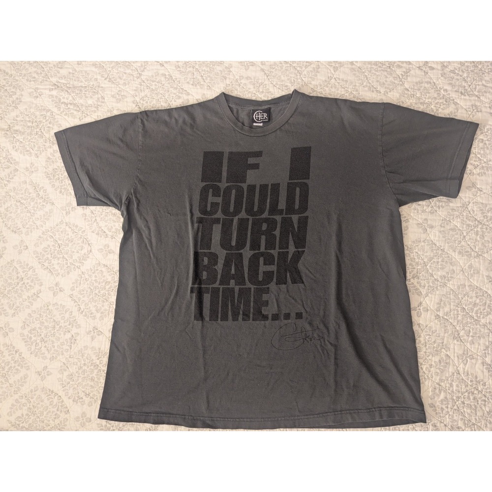 VTG‎ Cher "If I Could Turn Back Time" Mens Shirt 3X Gray T-Shirt Y2K Rocker
